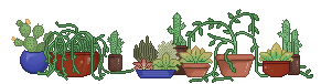 plants